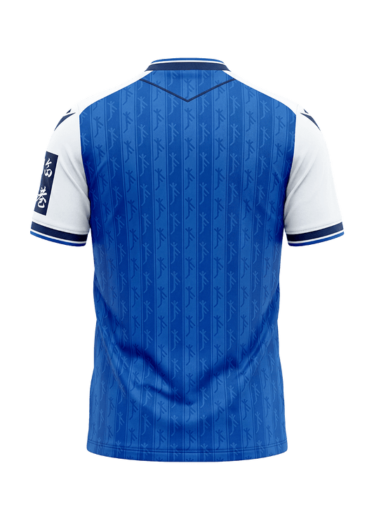 2026-27 Hoffenheim Home Jersey