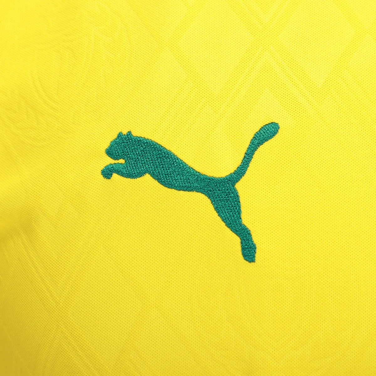 Camisola Palmeiras 2025/26 Terceira Torcedor