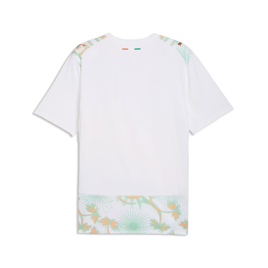 Ivory Coast Away Jersey 2026