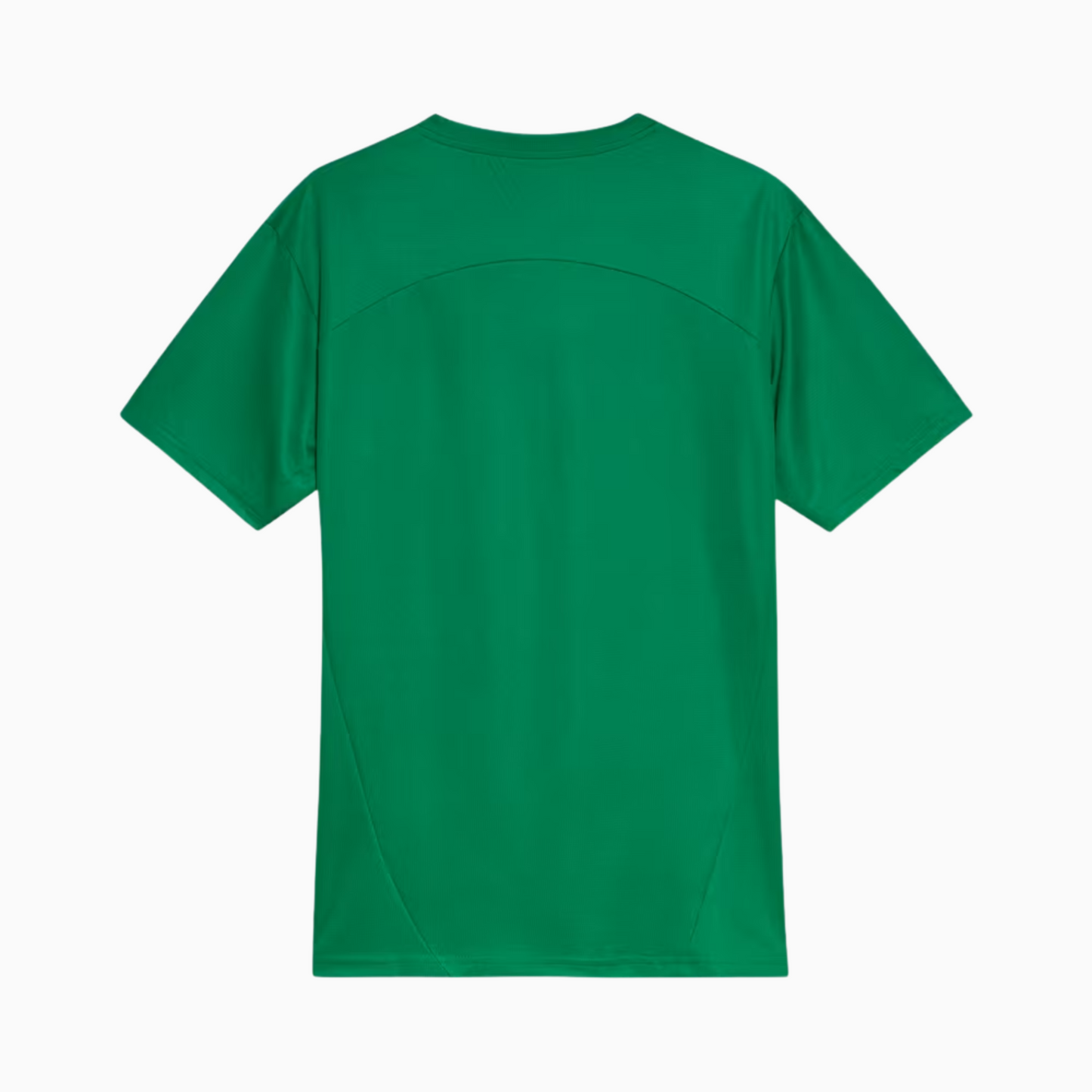 Camisola Palmeiras 2025/26 Training