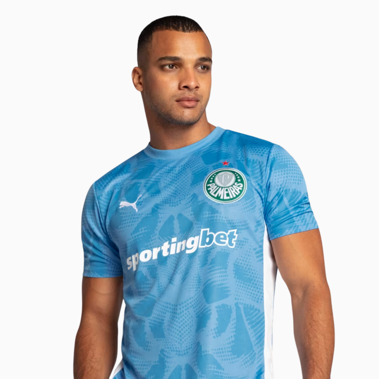 Camisola Palmeiras 2025/26 Goalkeeper Casa