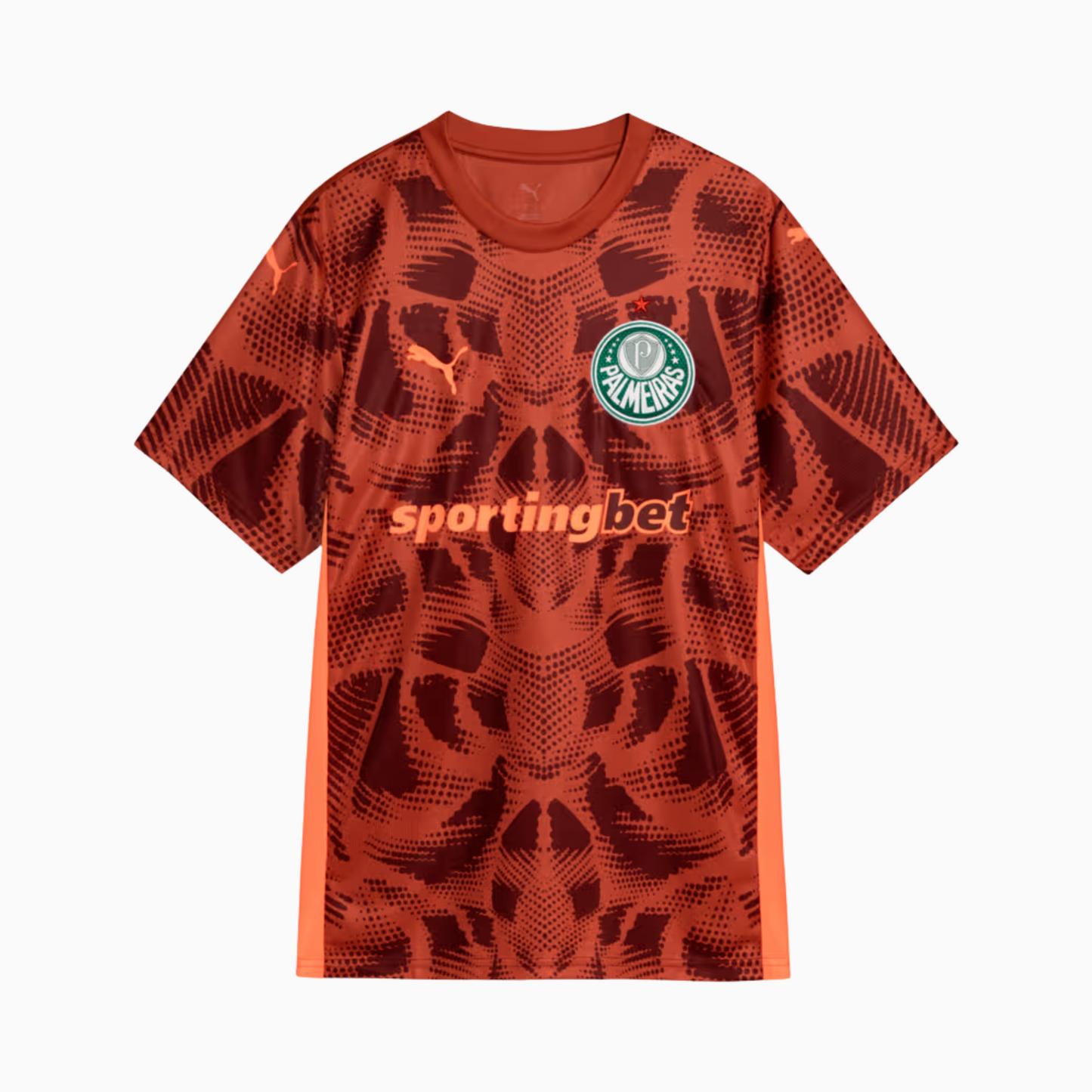 Camisola Palmeiras 2025/26 Goalkeeper Fora Torcedor