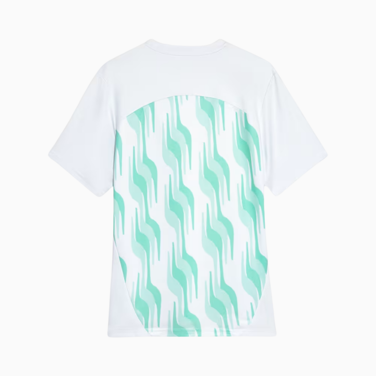 Camisola Palmeiras 2025/26 Pre-Partida