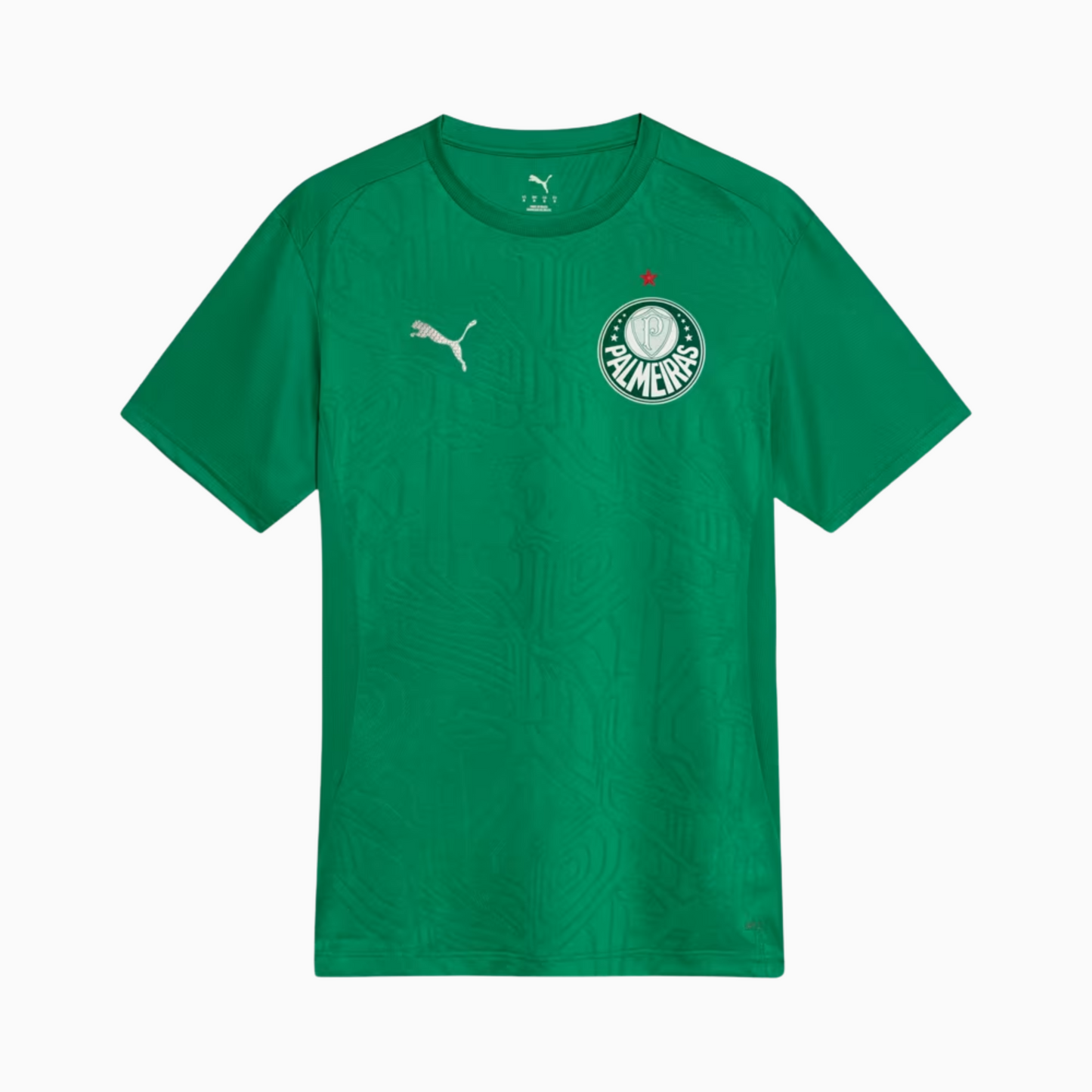 Camisola Palmeiras 2025/26 Training