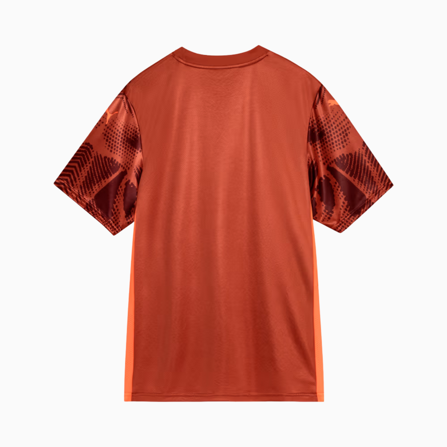 Camisola Palmeiras 2025/26 Goalkeeper Fora Torcedor