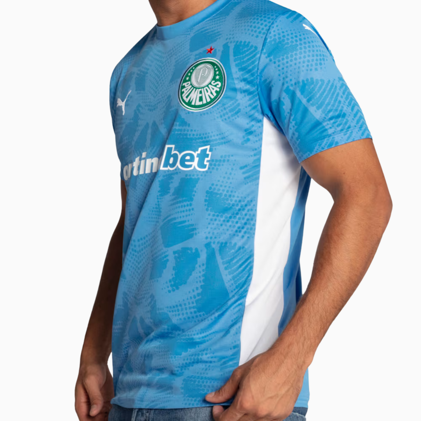 Camisola Palmeiras 2025/26 Goalkeeper Casa