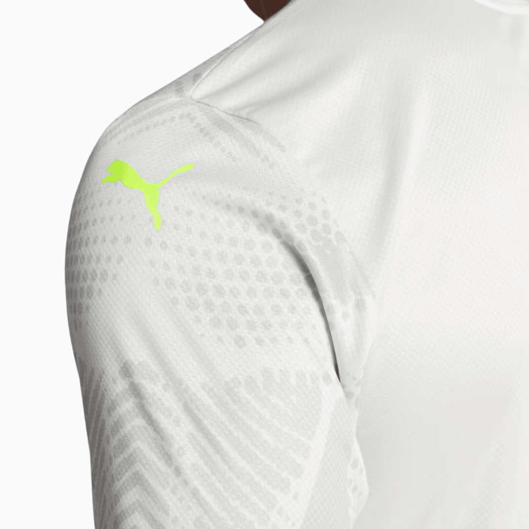 Camisola Palmeiras 2025/26 Goalkeeper Terceira Jogador