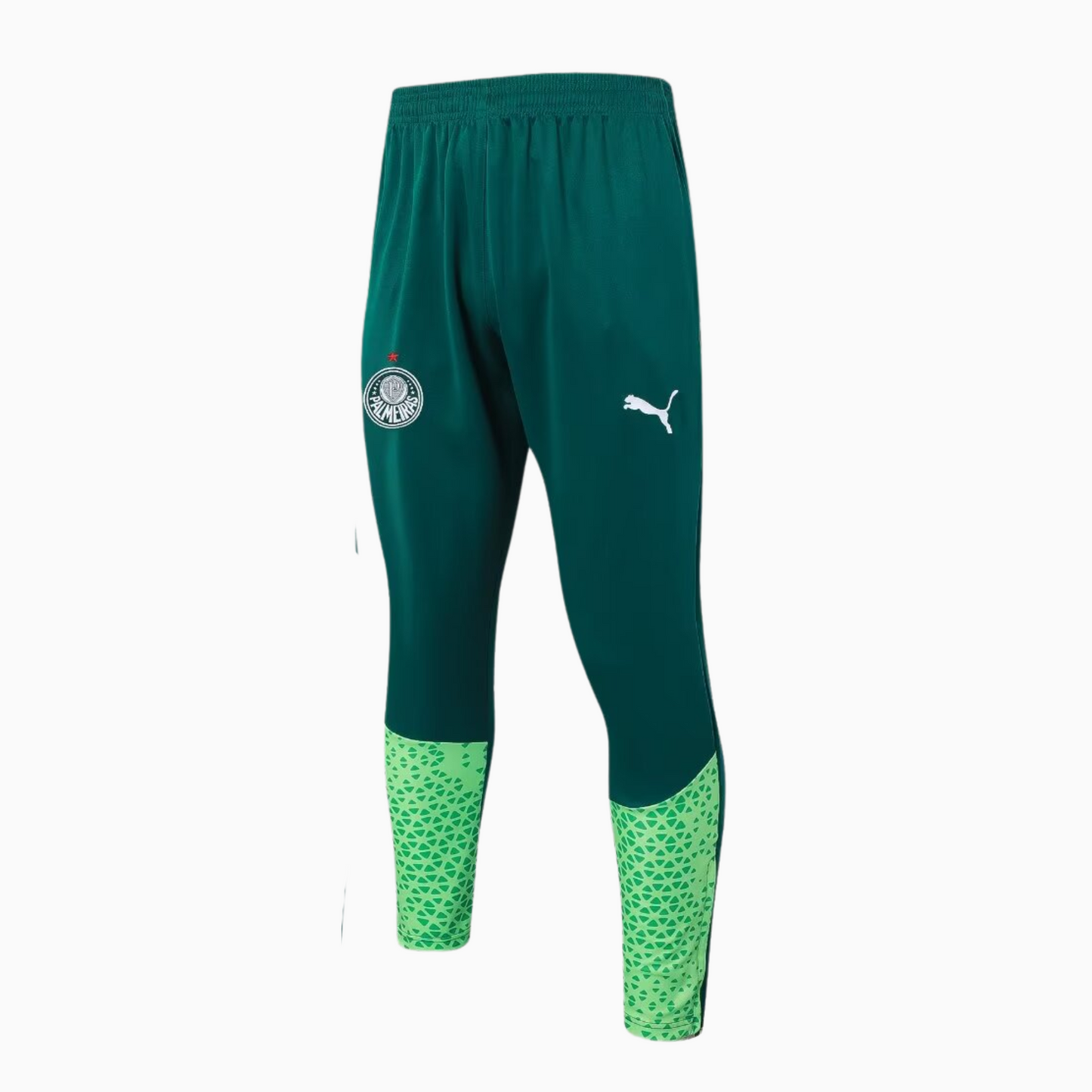 Conjunto Treino Palmeiras 2024/25 I Masculino