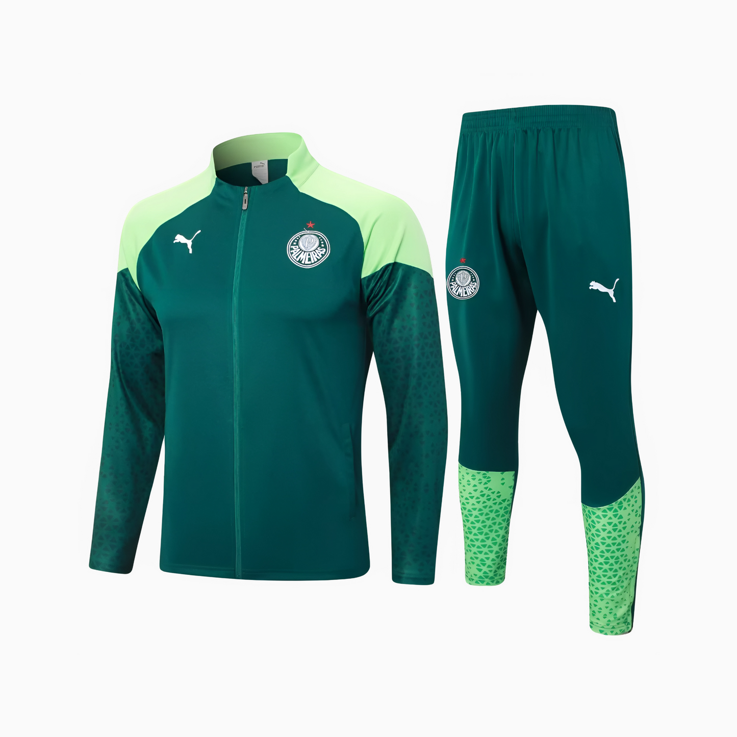 Conjunto Treino Palmeiras 2024/25 I Masculino