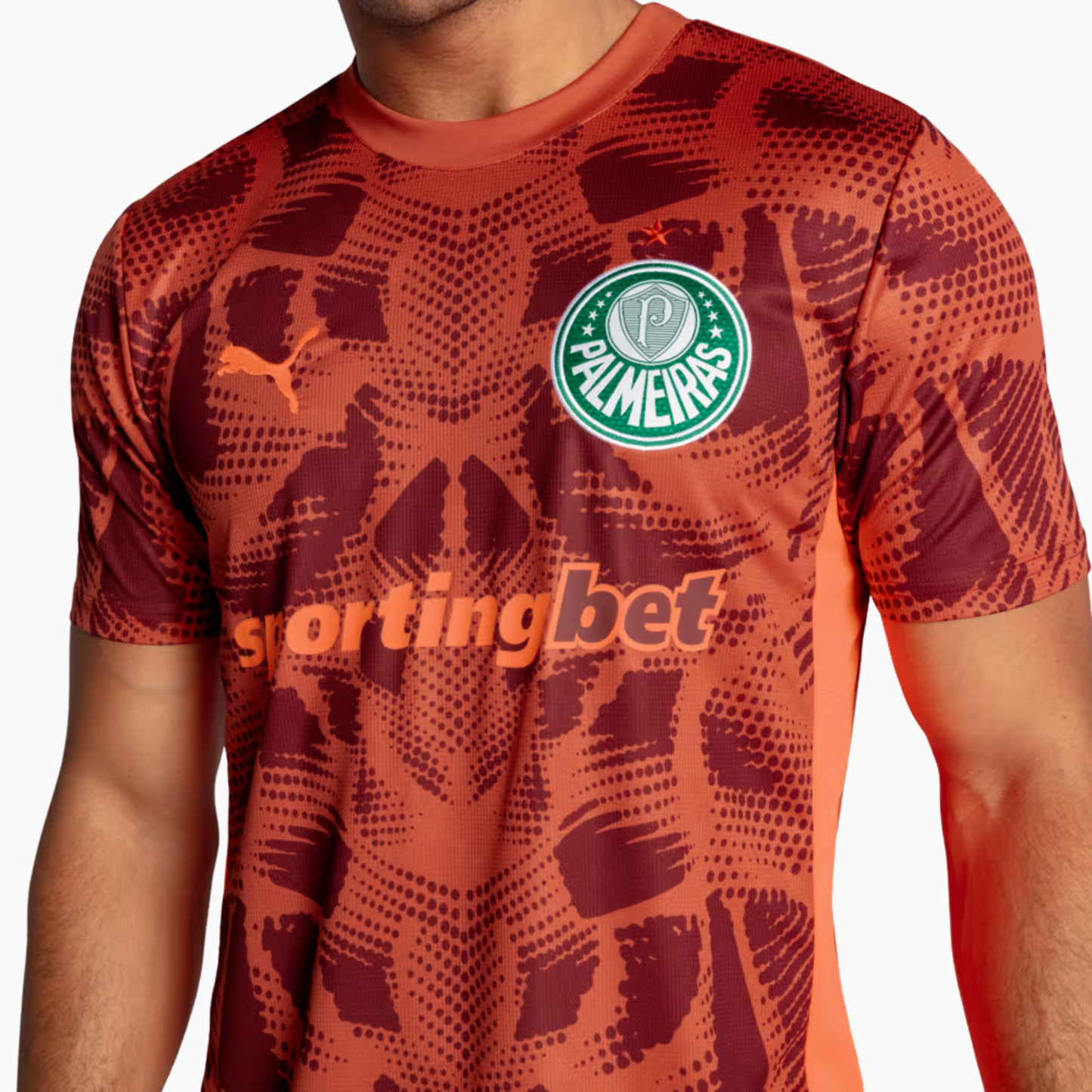 Camisola Palmeiras 2025/26 Goalkeeper Fora Torcedor