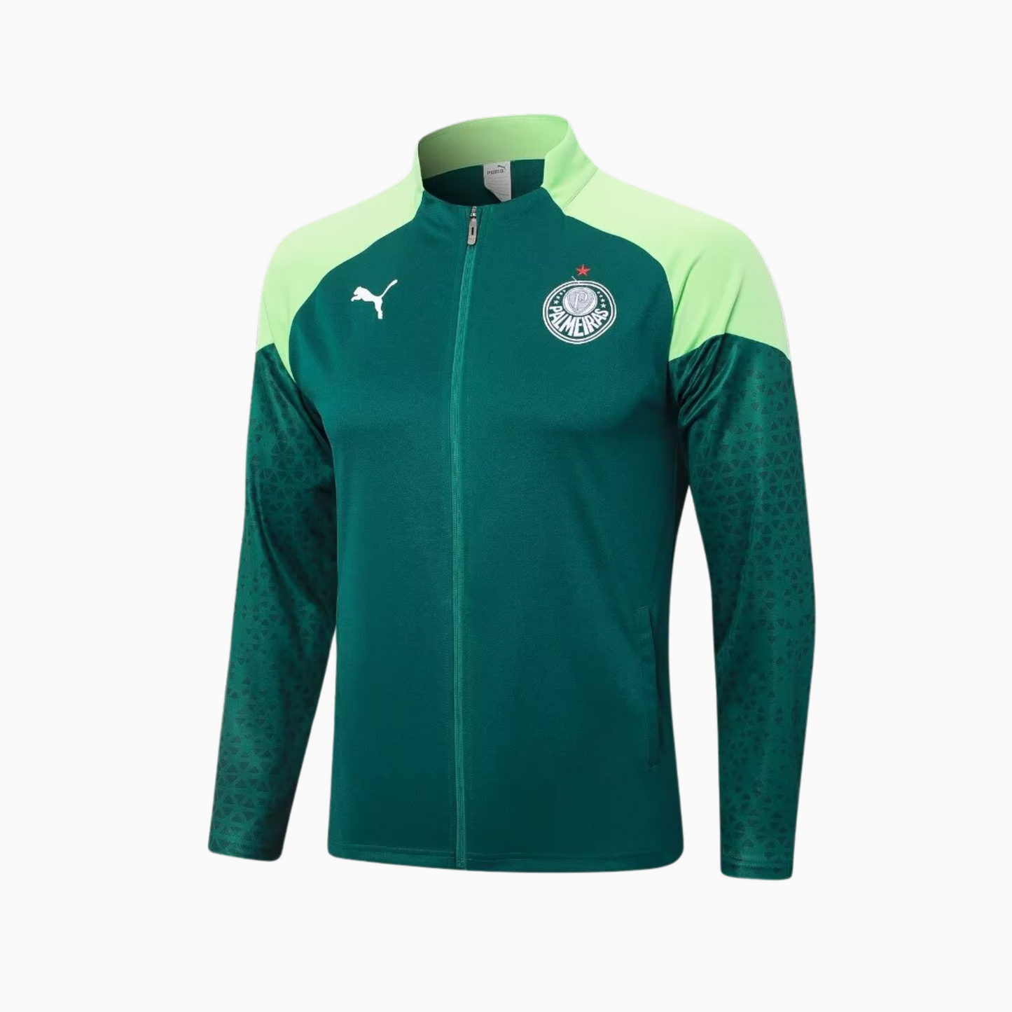 Conjunto Treino Palmeiras 2024/25 I Masculino