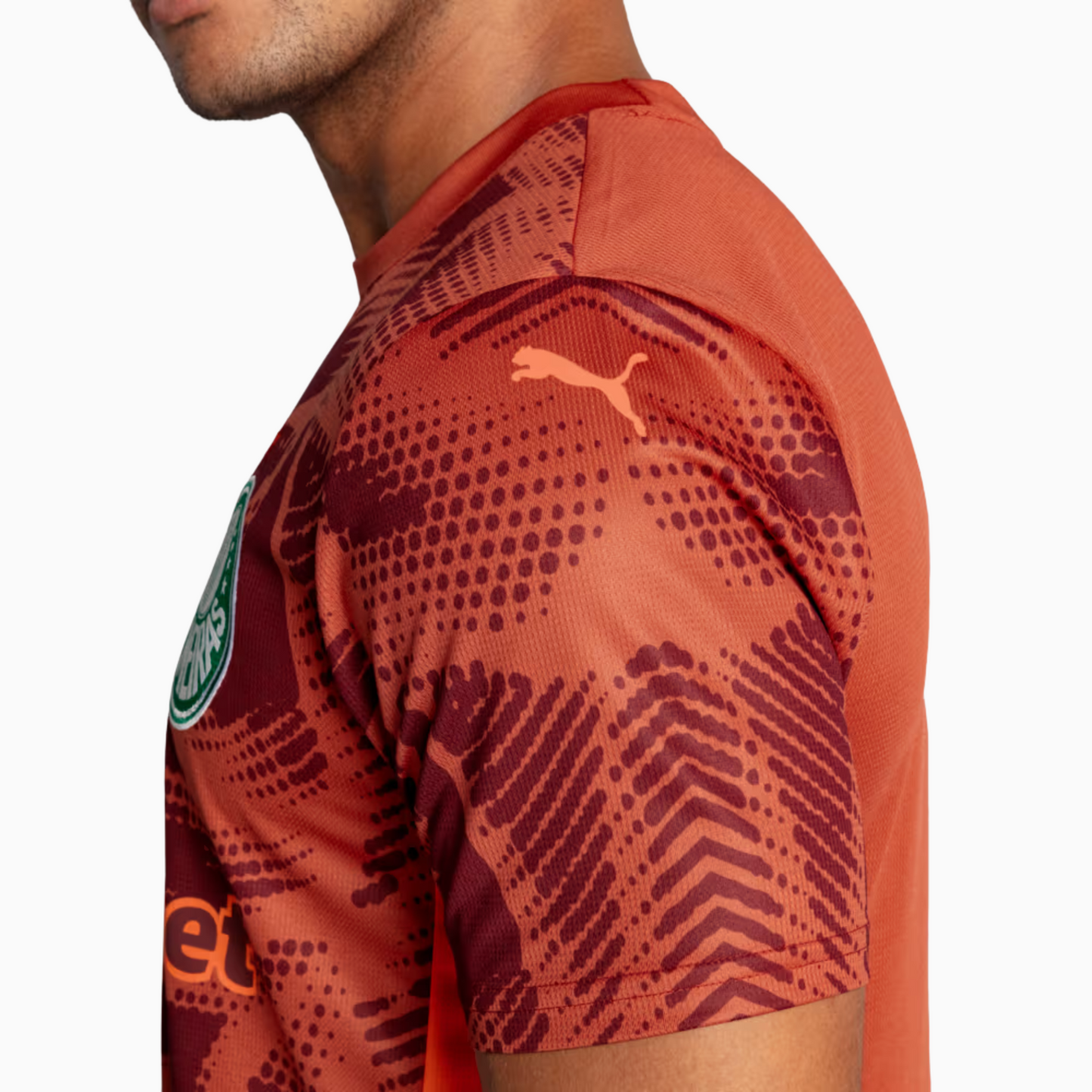 Camisola Palmeiras 2025/26 Goalkeeper Fora Torcedor