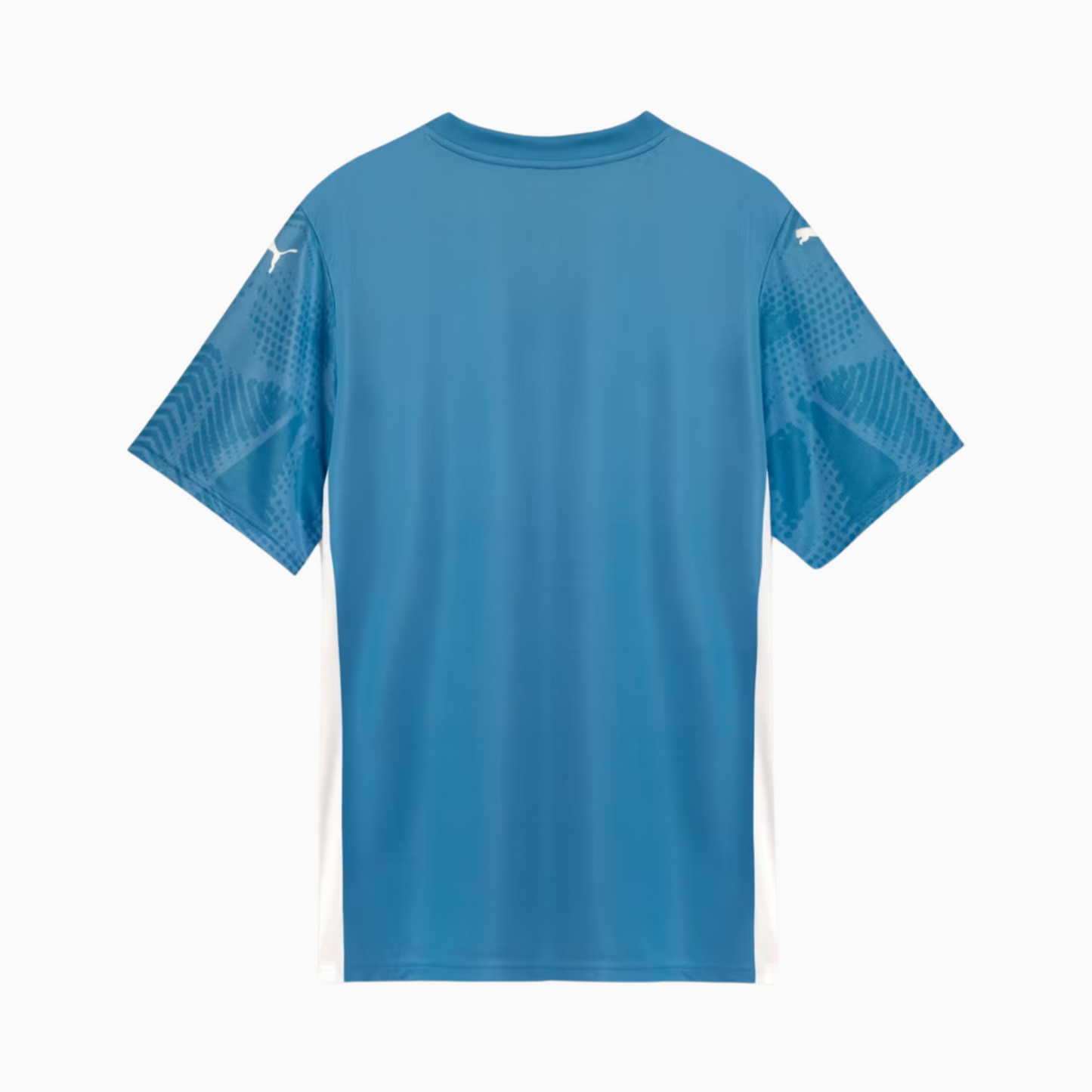Camisola Palmeiras 2025/26 Goalkeeper Casa