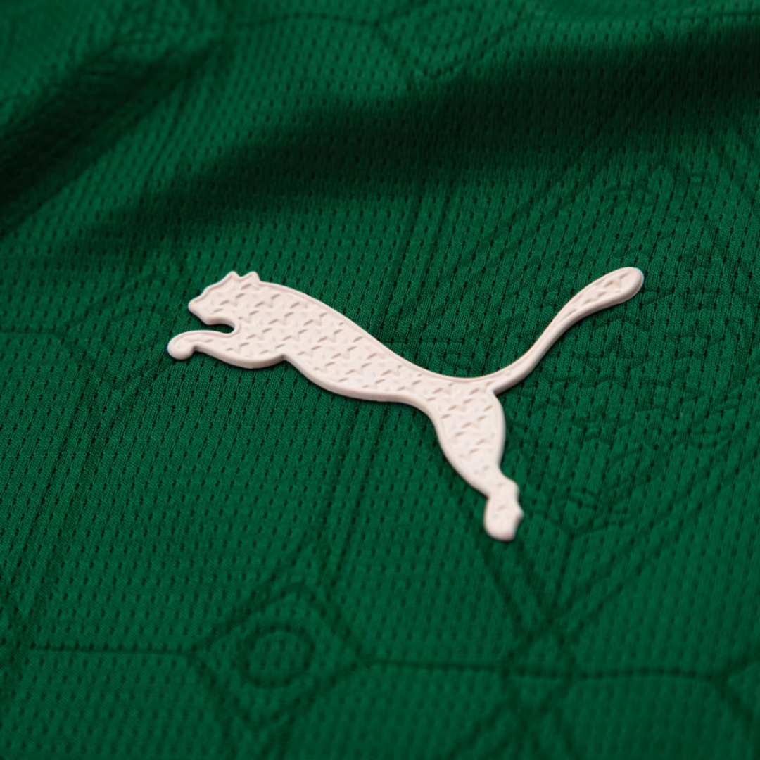Camisola Palmeiras 2025/26 Casa Jogador
