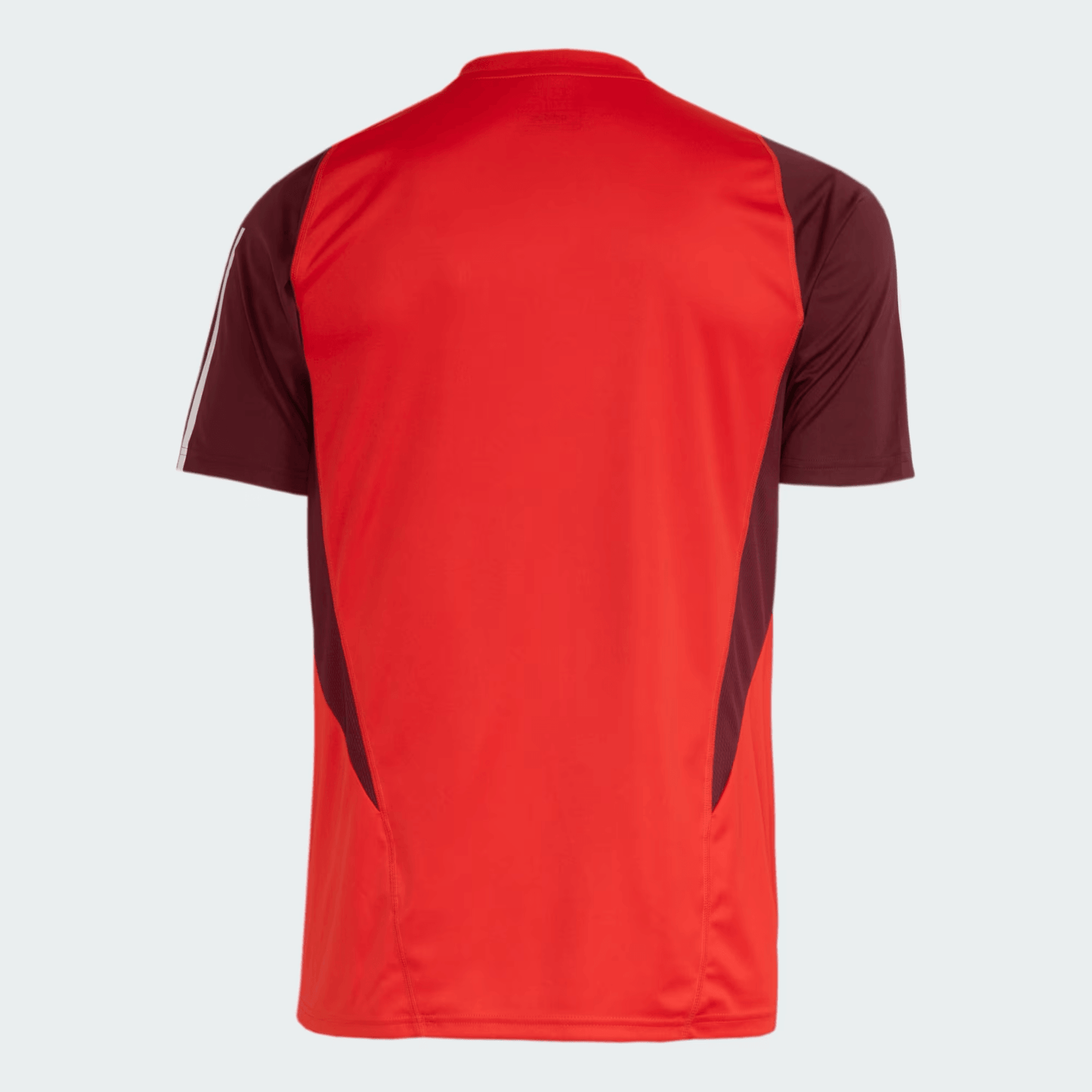 Camisola Training Internacional 2024/25 Torcedor