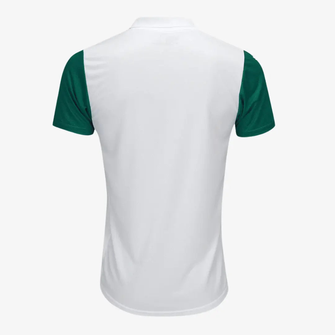 Camisola Palmeiras 2025/26 Fora Jogador