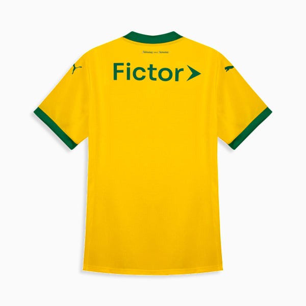 Camisola Feminina Palmeiras 2025/26 Terceira Torcedor