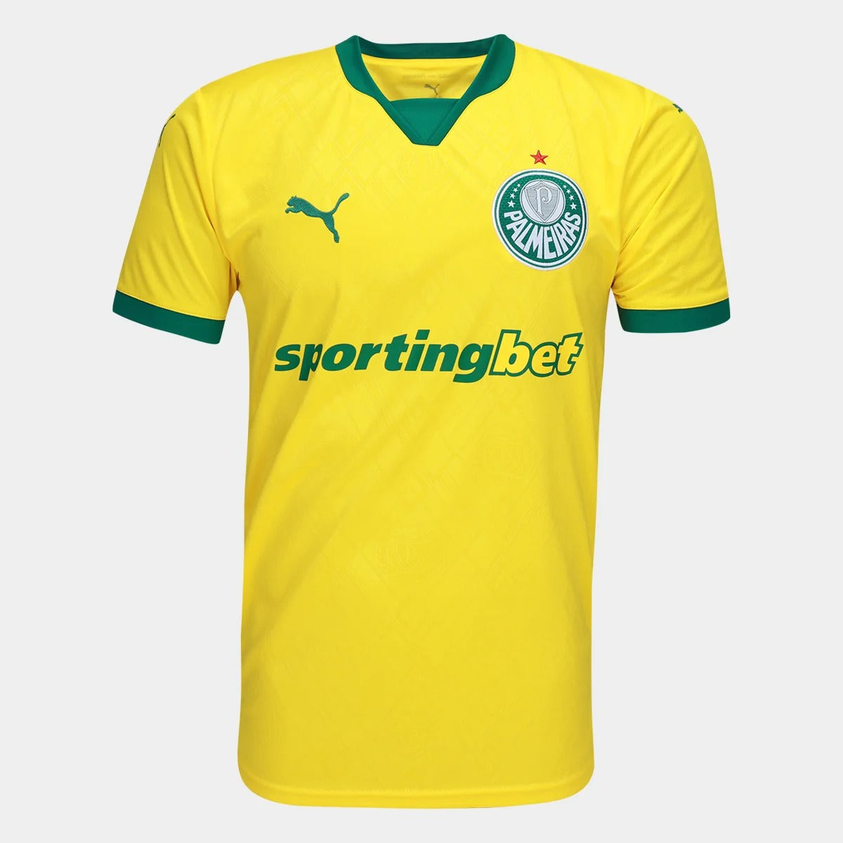 Camisola Palmeiras 2025/26 Terceira Torcedor